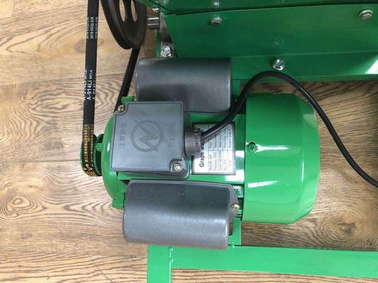 購入 CE証明書 手動または電気用ブドウ粉砕機/ブドウ皮剥き機械 オンライン製造