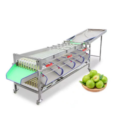 購入 ホテルは,果物重量選択と果物野菜加工機械のための自動果物サイズ格付け機から利益を得ています. オンライン製造